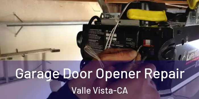  Garage Door Opener Repair Valle Vista-CA